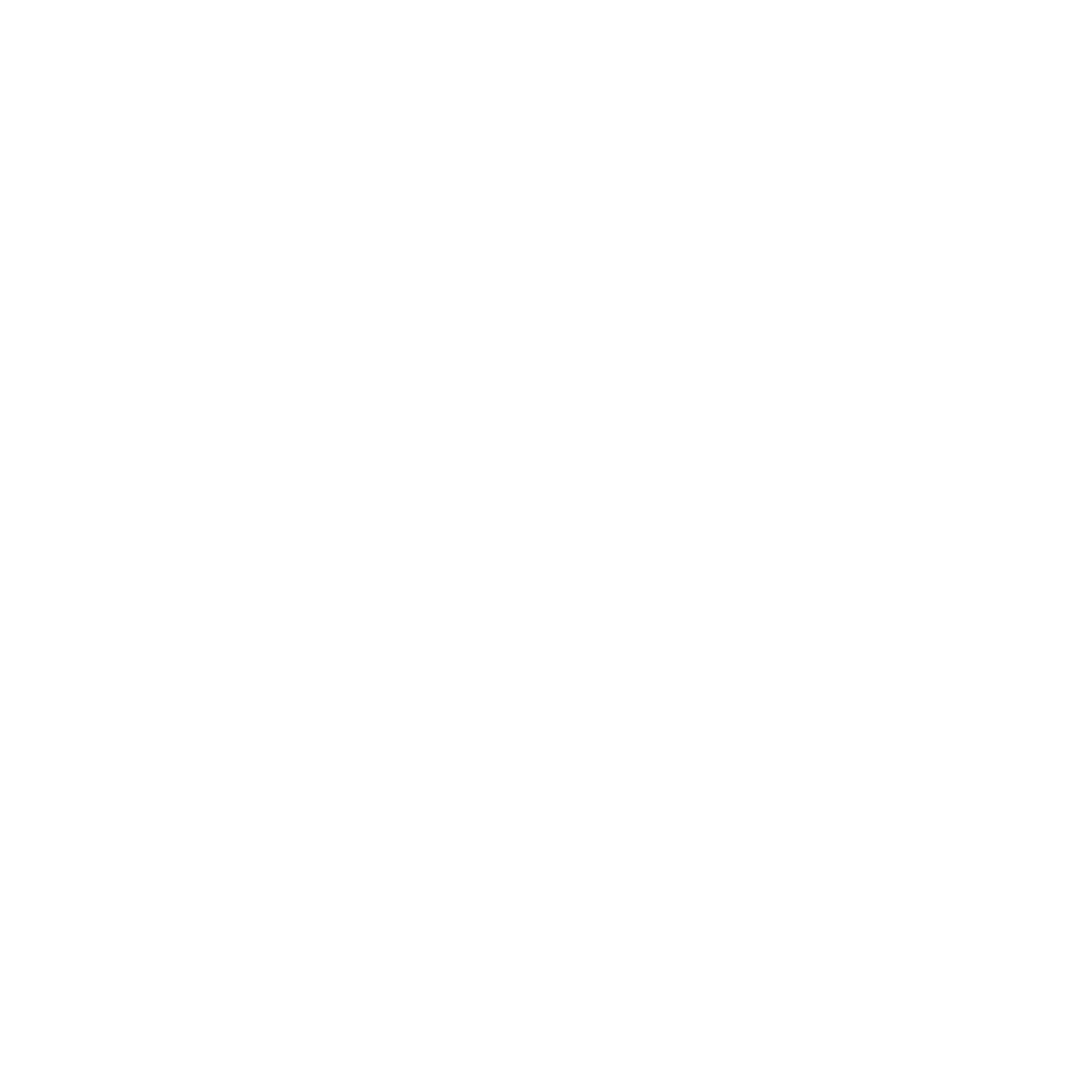 Studio Velin Logo